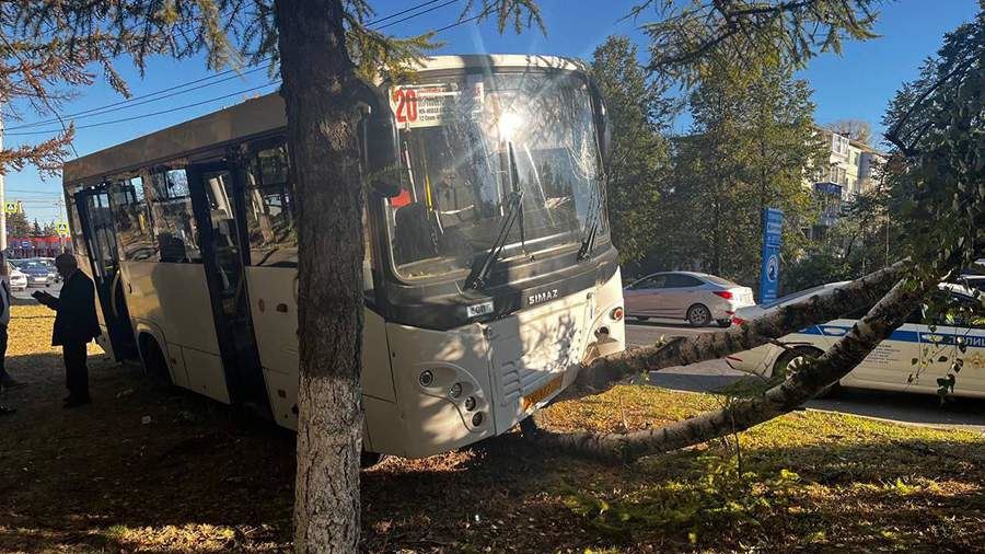 В Ульяновске грузовик протаранил пассажирский автобус